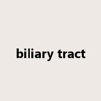 biliary tract是什么意思