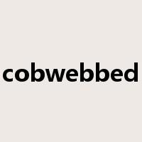 cobwebbed是什么意思