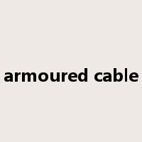 armoured cable是什么意思