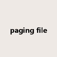 paging file是什么意思