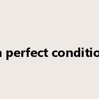 in perfect condition是什么意思