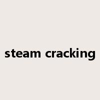 steam cracking是什么意思