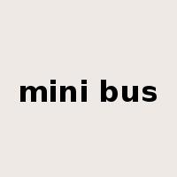 mini bus是什么意思