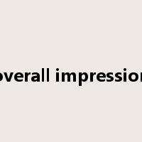 overall impression是什么意思
