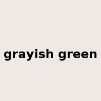 grayish green是什么意思