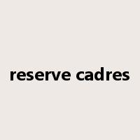 reserve cadres是什么意思
