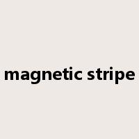 magnetic stripe是什么意思