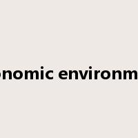 economic environment是什么意思