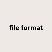file format是什么意思