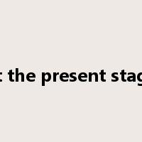 at the present stage是什么意思