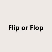Flip or Flop是什么意思