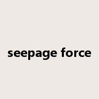 seepage force是什么意思