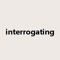 interrogating是什么意思