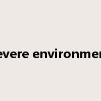 severe environment是什么意思