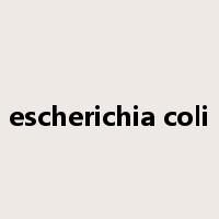 escherichia coli是什么意思