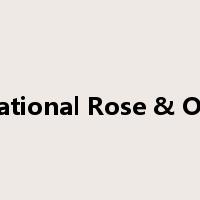 Rational Rose & OO是什么意思