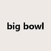 big bowl是什么意思
