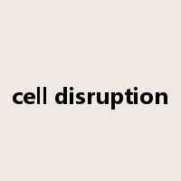 cell disruption是什么意思