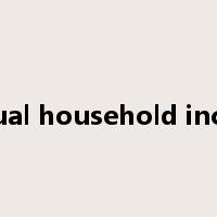 Annual household income是什么意思