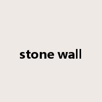 stone wall是什么意思