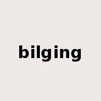 bilging是什么意思