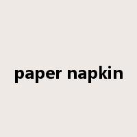 paper napkin是什么意思
