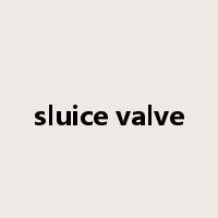 sluice valve是什么意思
