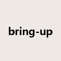 bring-up是什么意思