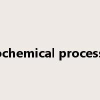 Biochemical processes是什么意思