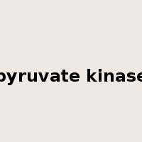 pyruvate kinase是什么意思