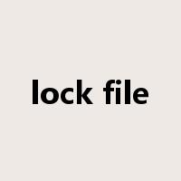 lock file是什么意思