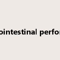 Gastrointestinal perforation是什么意思