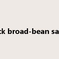 thick broad-bean sauce是什么意思