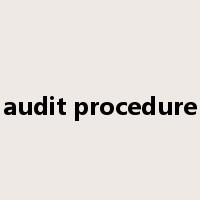 audit procedure是什么意思
