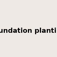 foundation planting是什么意思