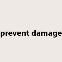 prevent damage是什么意思