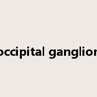 occipital ganglion是什么意思