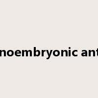 carcinoembryonic antigen是什么意思