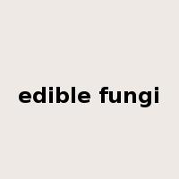 edible fungi是什么意思
