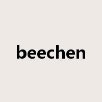 beechen是什么意思