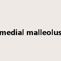 medial malleolus是什么意思