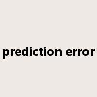prediction error是什么意思