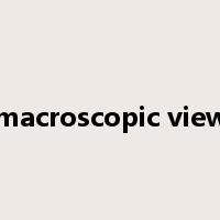 macroscopic view是什么意思