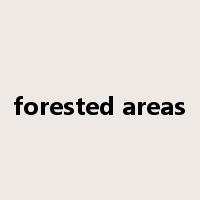 forested areas是什么意思