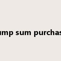 lump sum purchase是什么意思