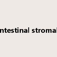 gastrointestinal stromal tumor是什么意思