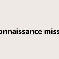 reconnaissance mission是什么意思