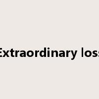 Extraordinary loss是什么意思