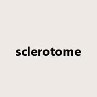 sclerotome是什么意思