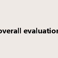 overall evaluation是什么意思